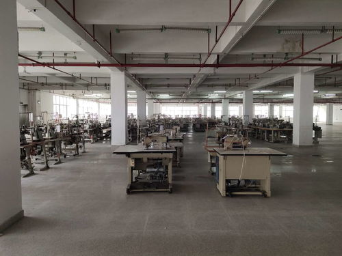 花都区学校建筑抗震安全检测鉴定工作全面展开，权威机构助力筑牢校园安全防线